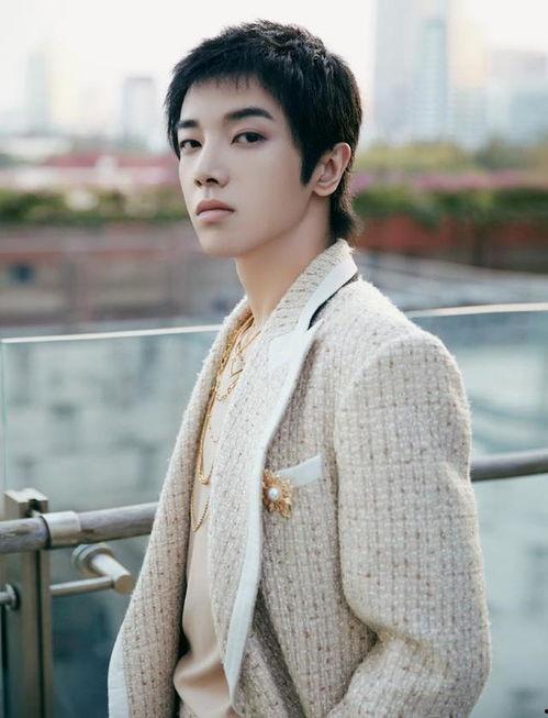 男明星哇哇,闪耀舞台的男明星风采