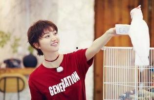 王洋吃瓜,揭秘娱乐圈幕后故事