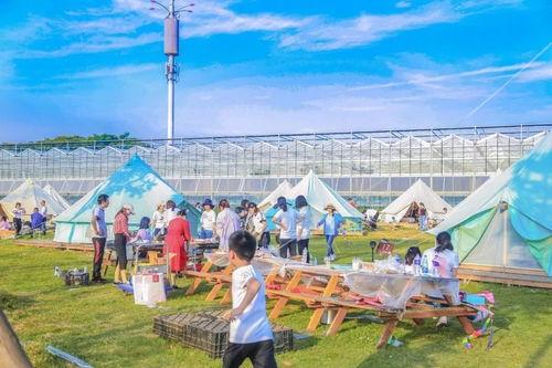 露营地网红打卡装置,网红打卡装置引领户外生活潮流