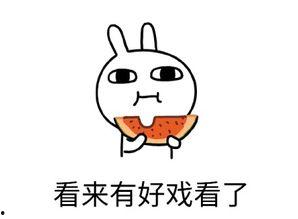 吃瓜 围观 打酱油,揭秘网络热点的背后故事