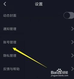 头条如何拍摄图片视频,高效拍摄图片与视频技巧解析