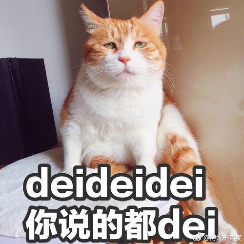 吃瓜而已的感悟,揭秘娱乐圈背后的真实与虚幻