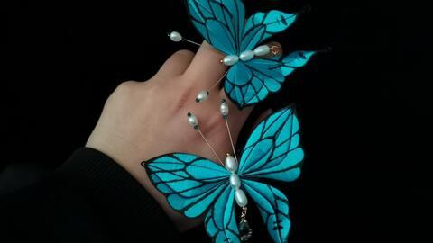 小蝴蝶黑料爆料视频,视频爆料背后的真相与争议