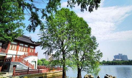 南京网红长廊,漫步历史与现代交融的时尚街区