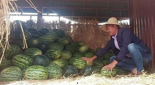 昆明屋顶吃瓜,夏日休闲新风尚