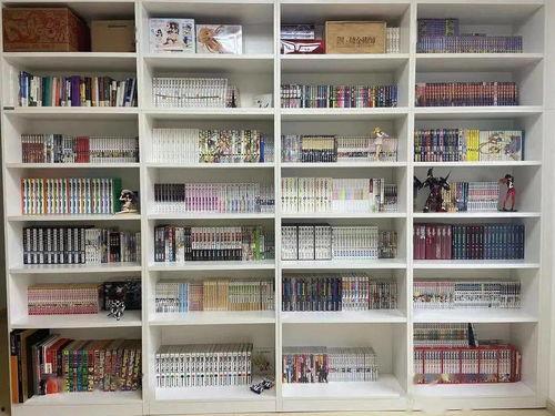 头条的书架怎么才能看到,nn1. 确定文章的主题或核心观点。n2. 使用简洁的语言概括文章的主要内容。n3. 添加一个吸引人的元素，如疑问、惊叹或强调。nn以下是一个示例：nn揭秘未来科技：人工智能如何改变我们的生活？