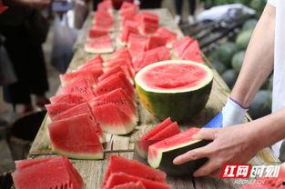 湖北郴州吃瓜,一场别开生面的“吃瓜”盛宴