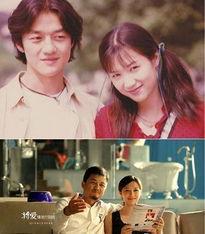 《将爱》在线观看,重温青春记忆，共赴情感之旅