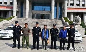 灵璧县公平镇新闻头条,新闻头条揭示区域振兴新篇章