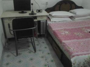 佳木斯本地网红饭店,探寻城市美食新地标