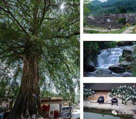 棪树村网红廊桥,穿越时光的美丽邂逅