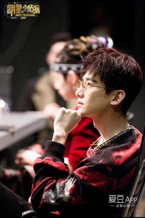 明星大侦探nznd最新,揭秘神秘组织背后的真相与谜团