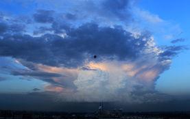 鱼云彩闪电猜明星,揭秘明星背后的神秘魅力