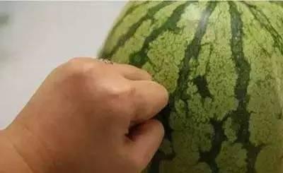 学习间期吃瓜,轻松吃瓜，享受生活小确幸