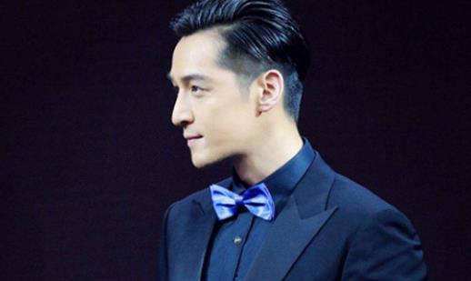 胡歌一线明星,星光璀璨的一线巨星之路