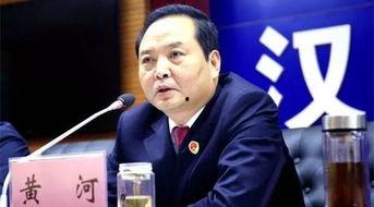 龙岗高岩新闻头条视频,揭秘高岩社区发展新动态