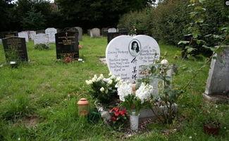 那些去世的明星墓地,逝世明星墓地巡礼