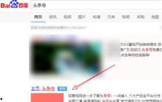 头条小店有几个,探索其背后的独特魅力与无限商机”