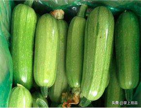 痛风可以吃西葫芦瓜,西葫芦瓜助力健康饮食