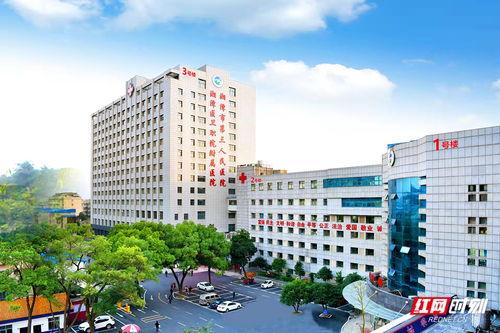 医院红网,聚焦医疗行业前沿动态，助力健康中国建设