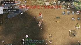 吃瓜云与海弹幕网,揭秘网络舆论场的双面魅力