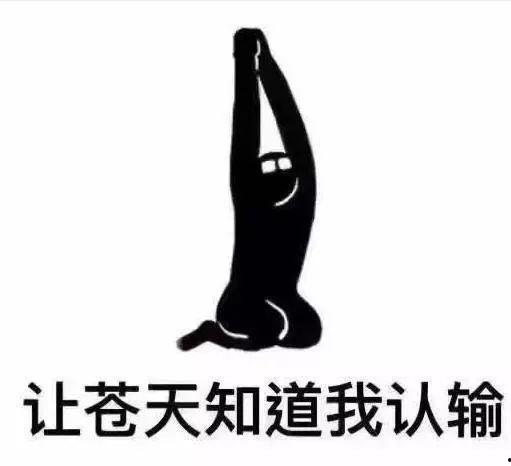 虐胖熊卵蛋 头条文章,头条文章背后的残酷真相