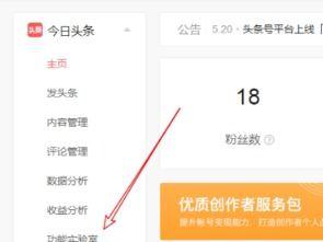 今日头条店铺在哪打开,轻松打开，畅享购物新体验