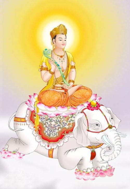 普贤菩萨今日头条