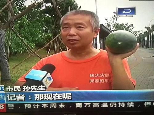 宁南吃瓜最新事件新闻视频,最新视频揭露惊人内幕