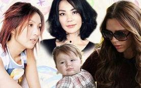 明星辣文,明星背后的激情故事大曝光