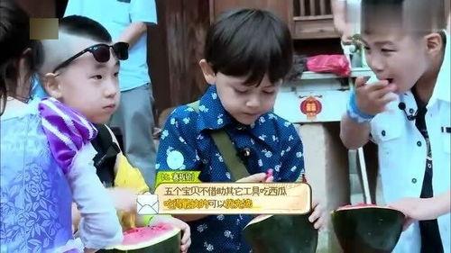 吃瓜的轩轩,揭秘娱乐圈幕后故事