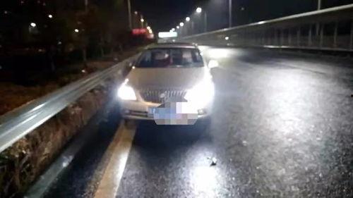 开车撞护栏吃瓜,揭秘事故背后的惊人真相