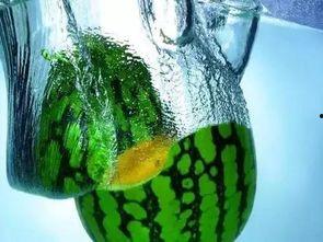 吃瓜不吐籽奶龙,奶龙带你领略瓜果美味之旅